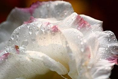 《上古卷轴6》新细节：有海战和造船 玩家建设要塞等